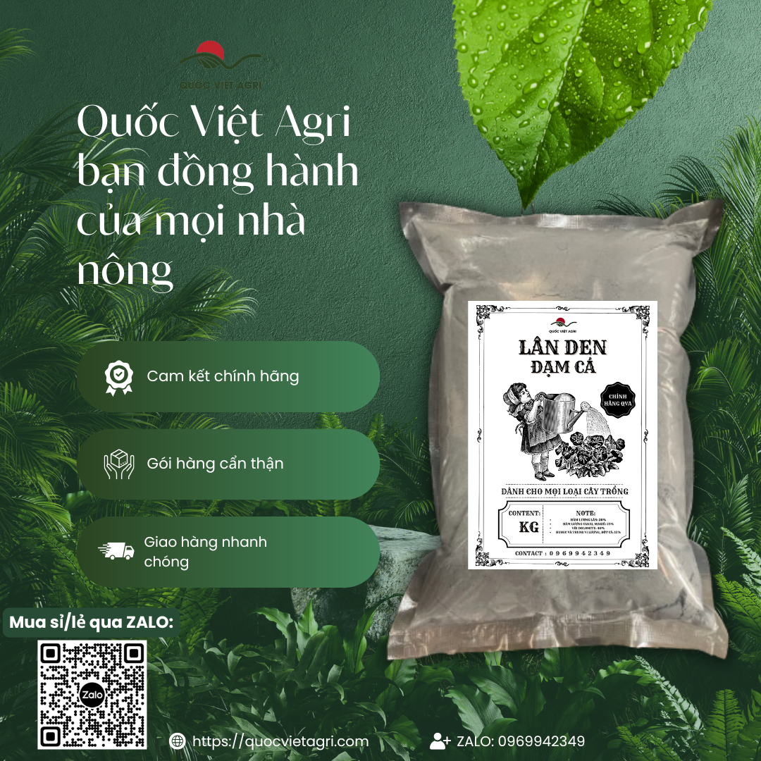Phân bón LÂN ĐEN Đạm Cá Rong Biển (gói 1KG)