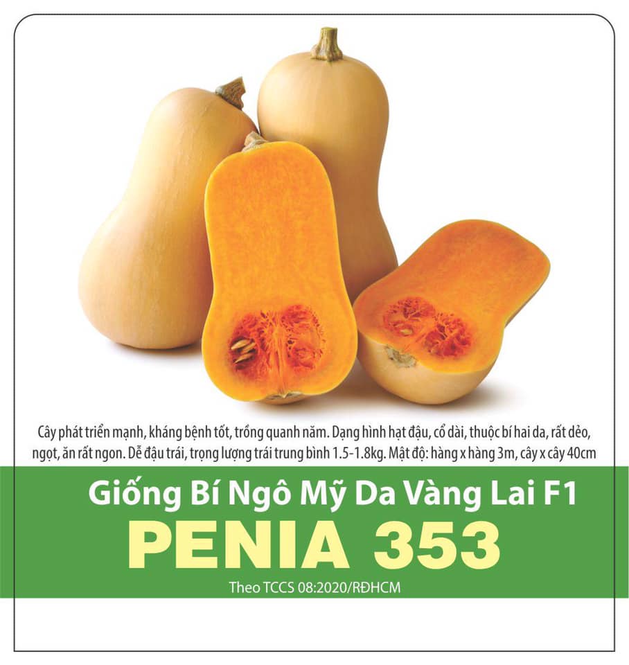 Hạt Giống Bí Ngô Mỹ Da Vàng 5 Hạt