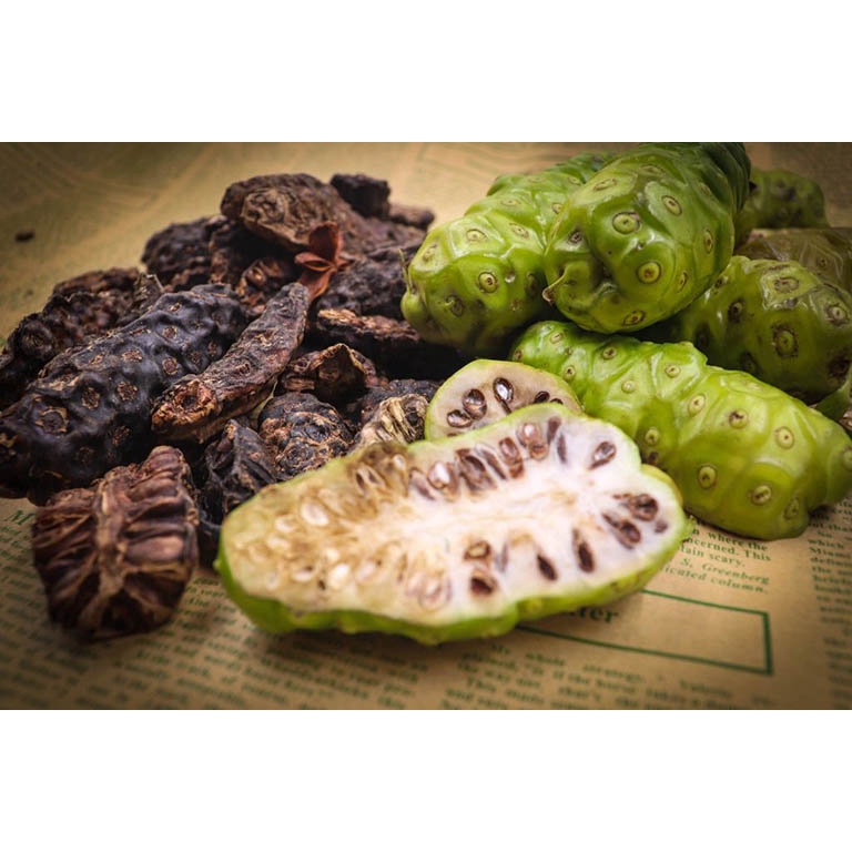 cây giống trái nhàu trắng