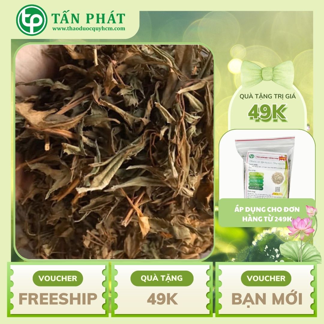 Lá đinh lăng khô 500g - Hỗ trợ tốt cho sức khỏe của người sử dụng - Hàng công ty giá tốt với chất lượng cao - Thảo Dược Tấn Phát