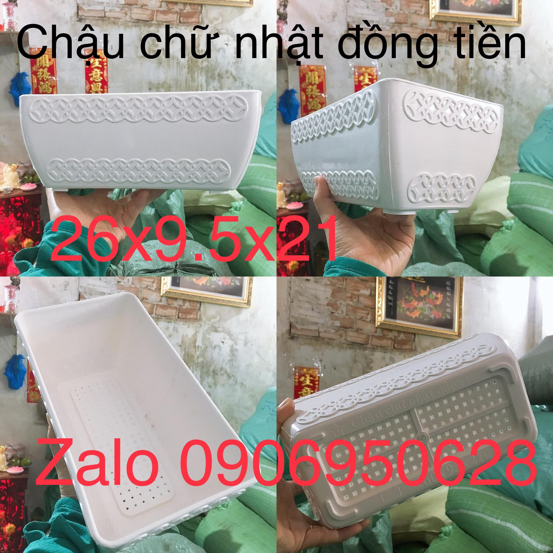 [HCM]Chậu nhựa chữ nhật bonsai mini