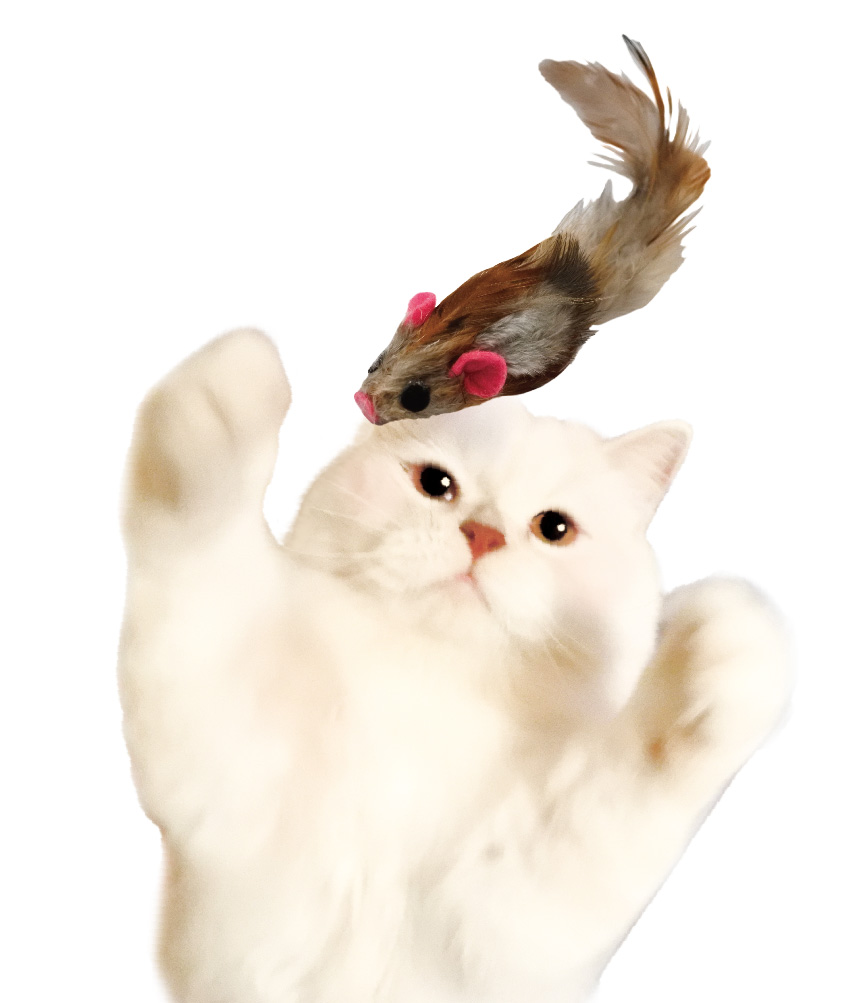 Đồ chơi CattyMan chuột lông gà dành cho mèo cưng