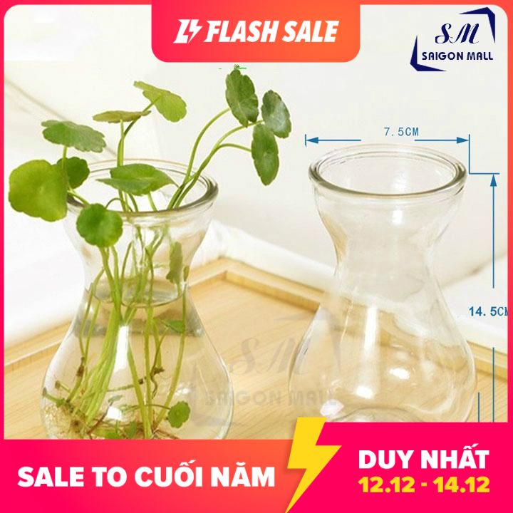 [HCM]COMBO 5 bình trồng cây thủy canh  miệng loe - 5 Bình Tiên Ông + Tặng kèm dây sơ dừa trang trí