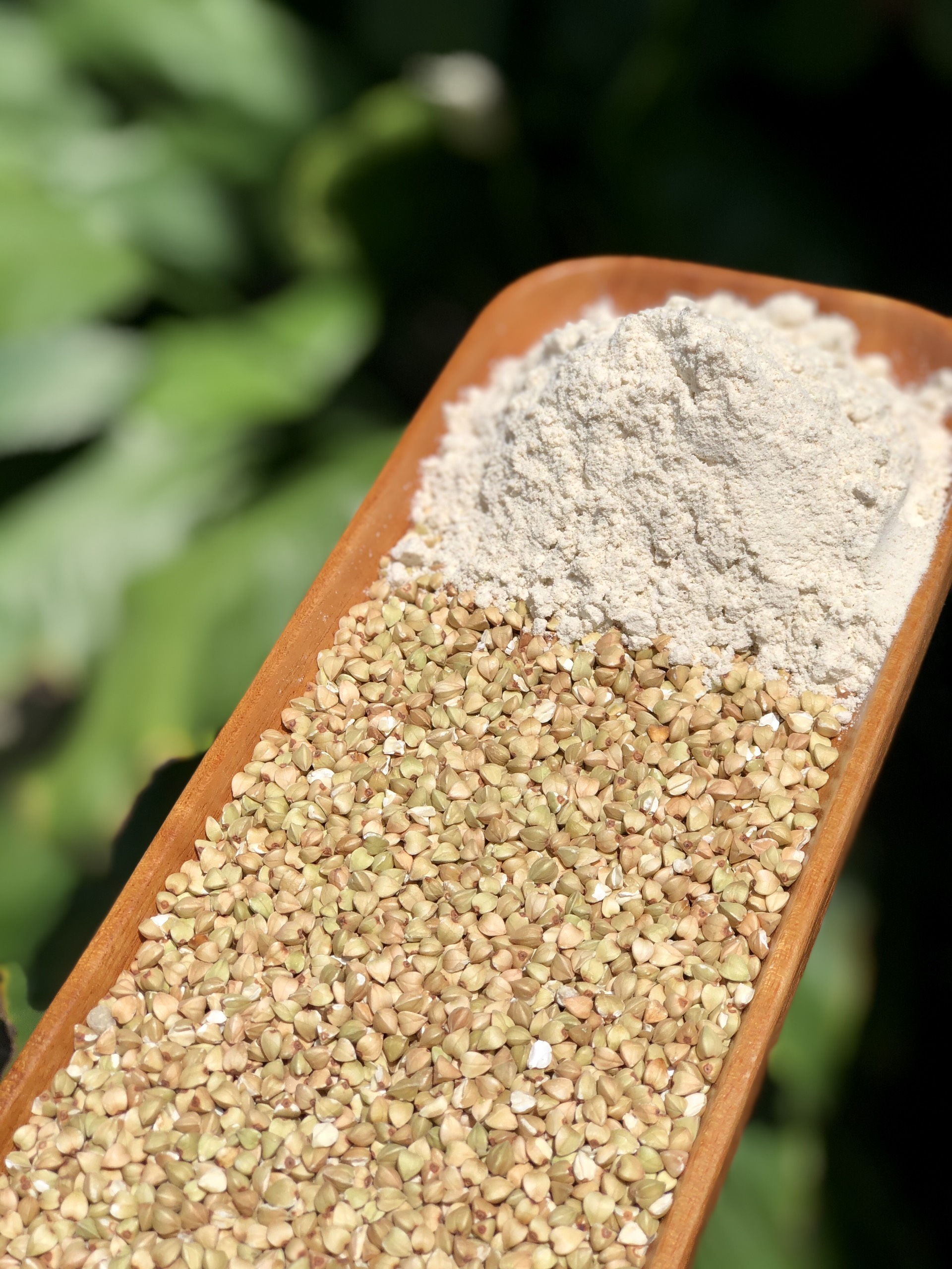 Bột Kiều Mạch BUCKWHEAT FLOUR G500gr