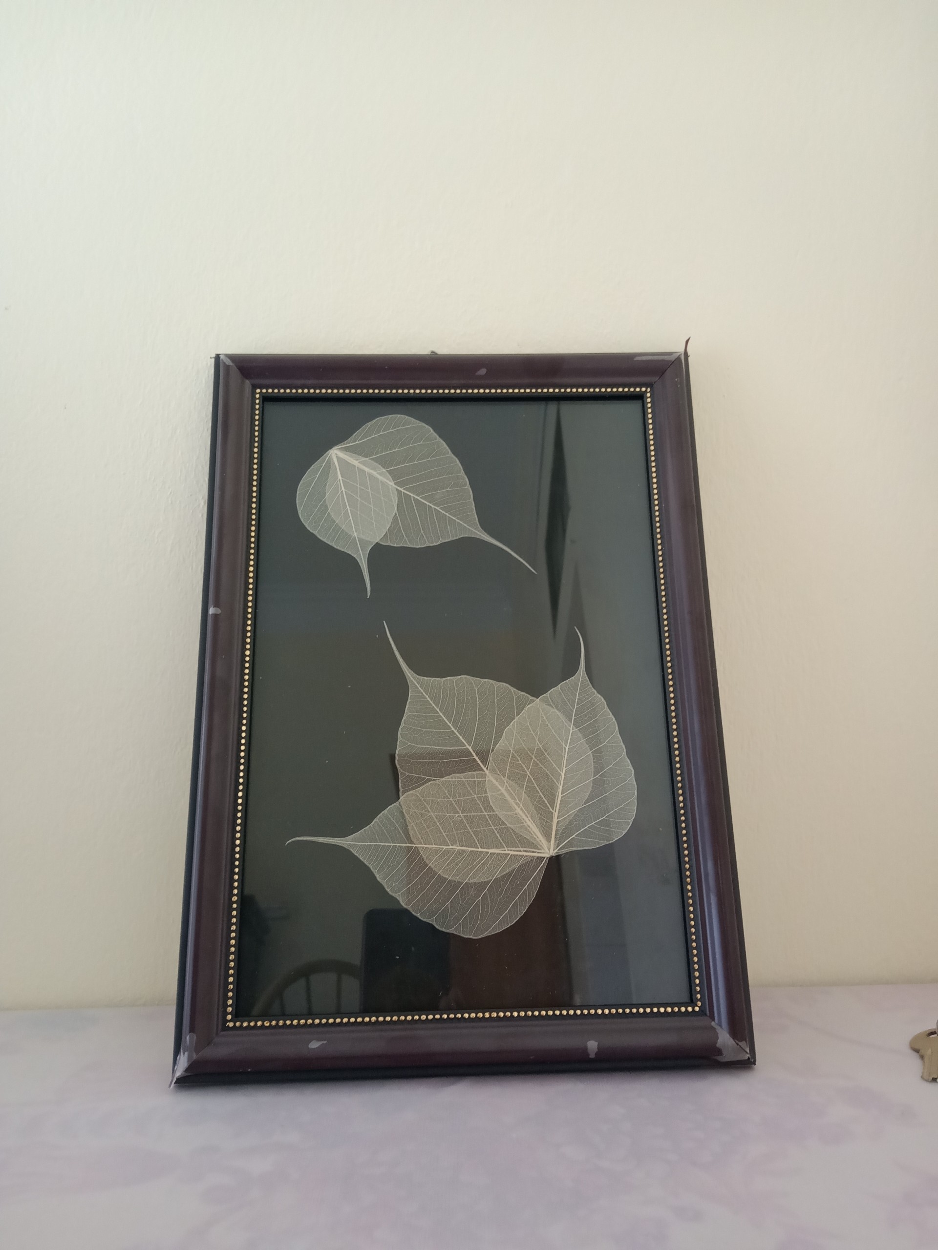 tranh 5 lá bồ đề