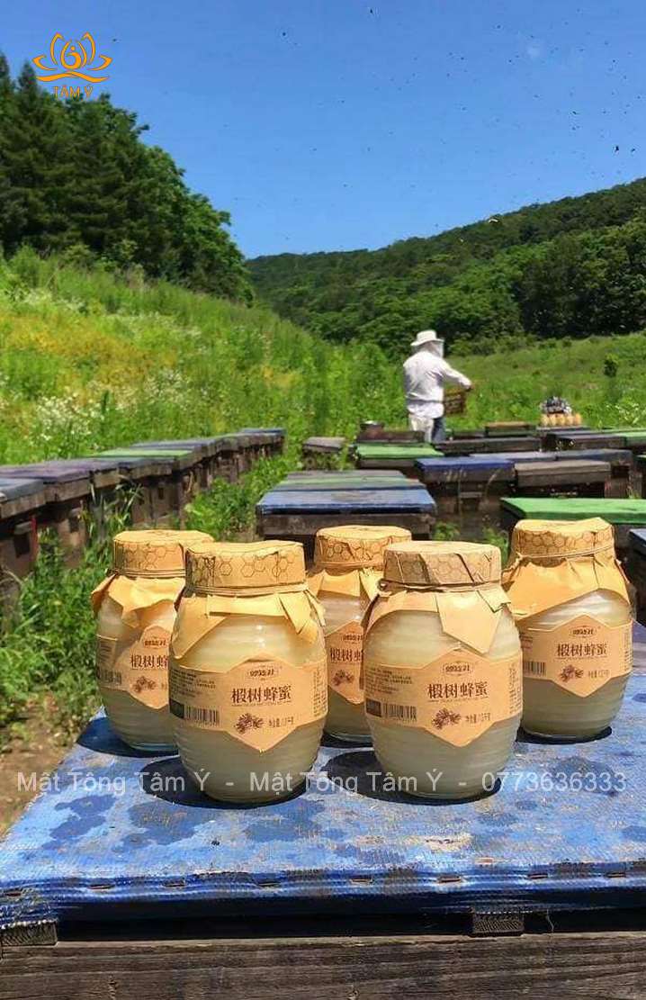 Mật ong tuyết - mật của ong đen cây bồ đề núi trường bạch hũ 1,4kg