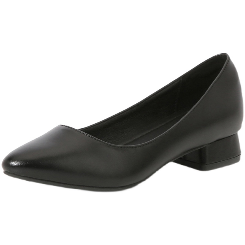 [HCM]Giay Búp Bê 3 cm Mũi Nhọn Da mờ