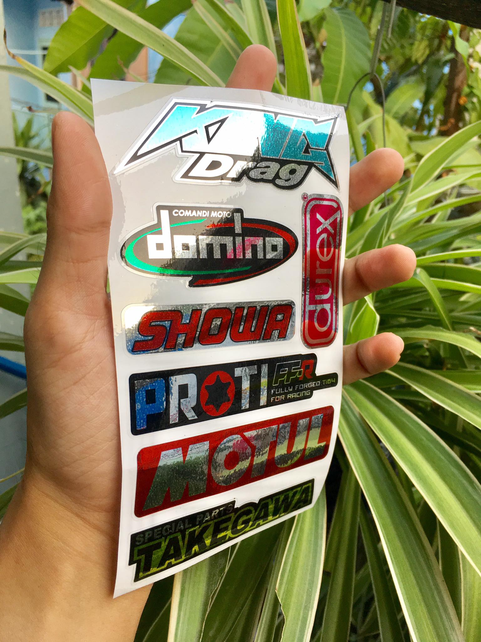 [HCM]TEM LOGO SI CROM KING DRAG DOMINO DUREX