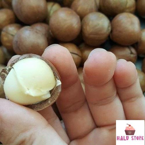 [HCM]Hạt mắc ca nguyên vỏ Mourads Úc  - gói 500gram