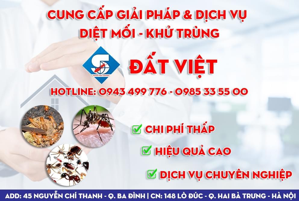 MEN XỬ LÍ BỂ PHỐT DW-97