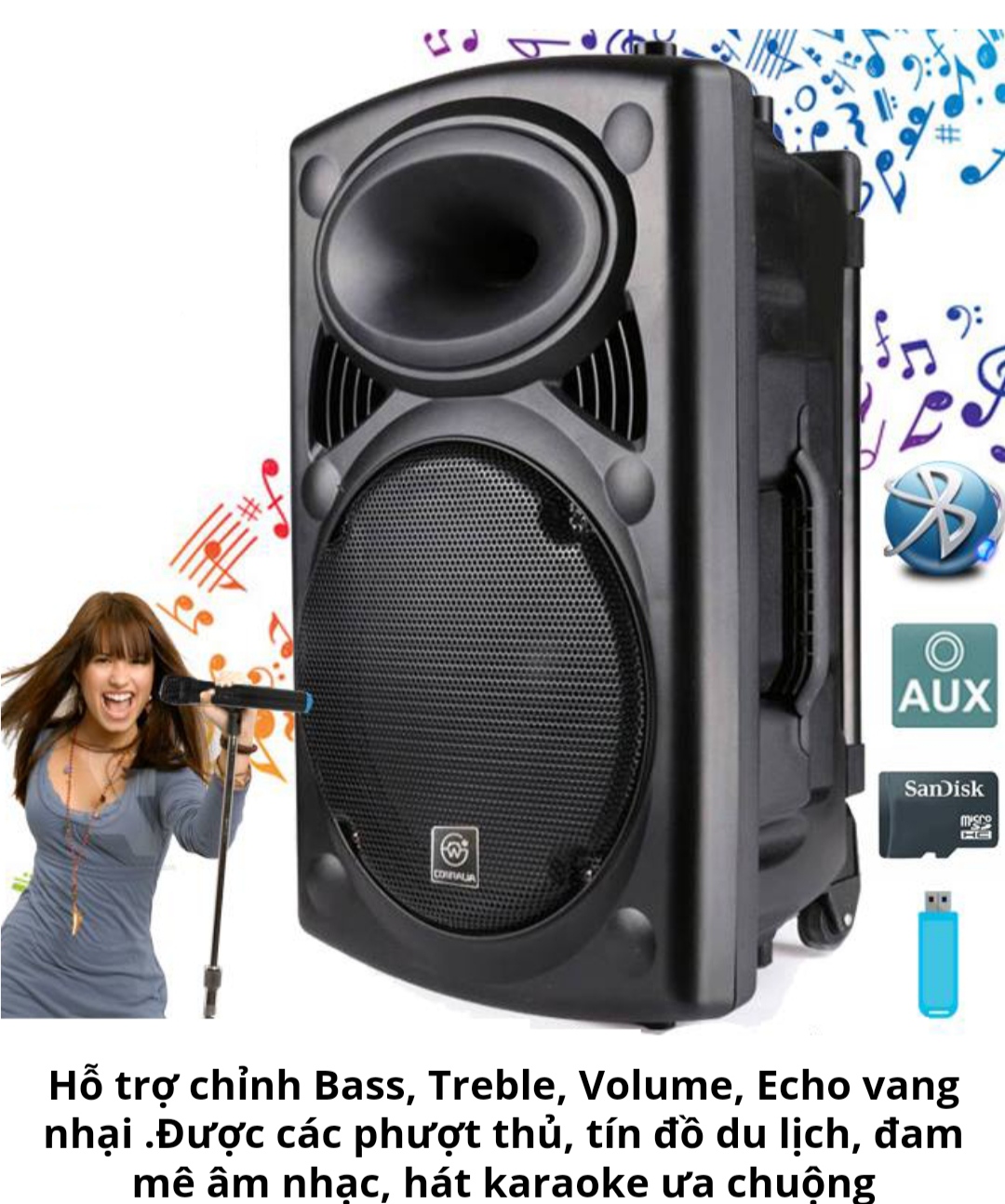 Loa  Bluetooth Karaoke Bass 30. Tặng 3 Micro