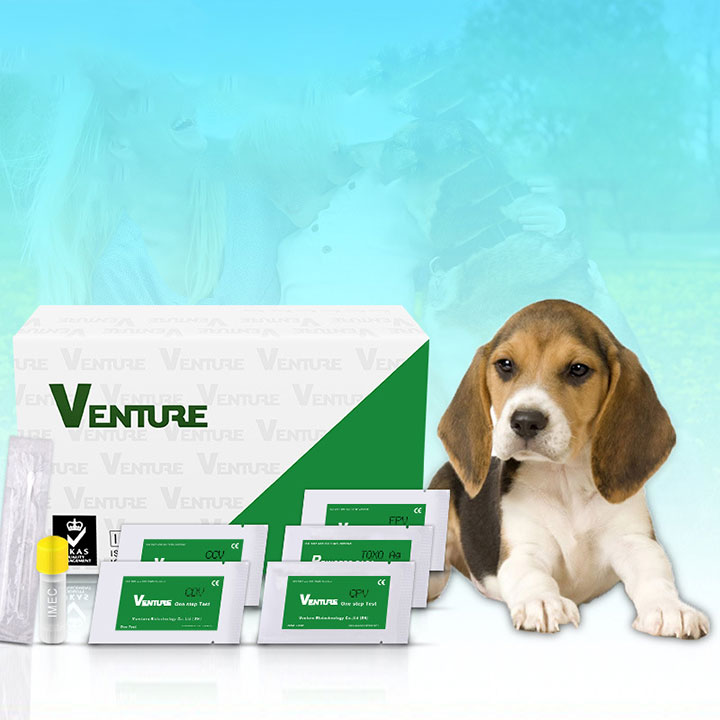 [HOÀN TIỀN 10%]Que test Care CDV dành cho chó - Test bệnh care - Cutepets