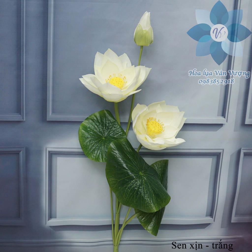 Hoa lụa 🌺freeship🌺 hoa sen giả trang trí