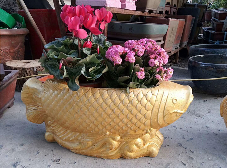 khuôn chậu cá rồng 55*24*23 có lòng trong (nhựa ABS)
