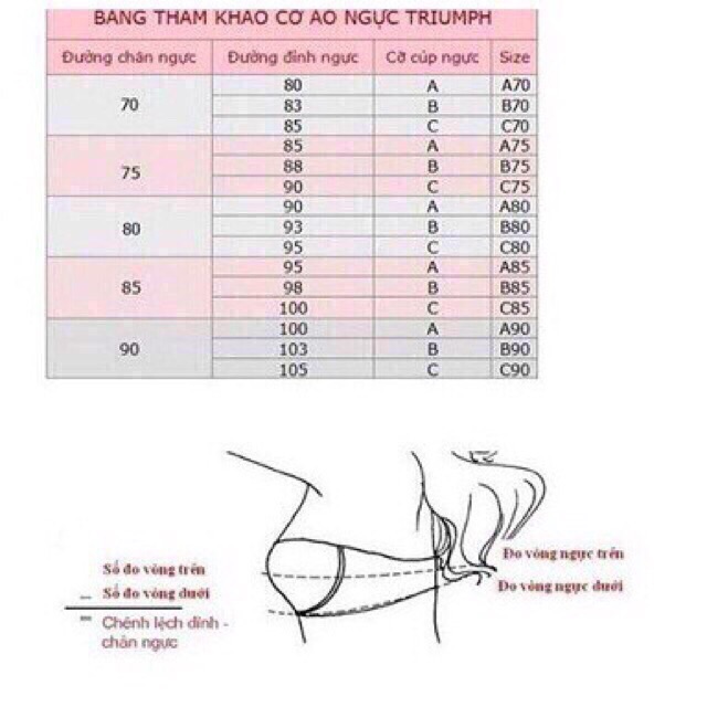 Áo lót nữ Triumph Pure Invisible Lace WHP