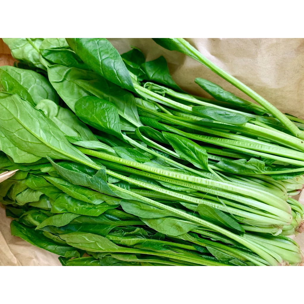 [SALE] Hạt giống Cải Bó Xôi (rau Chân Vịt) TN - HGVT1
