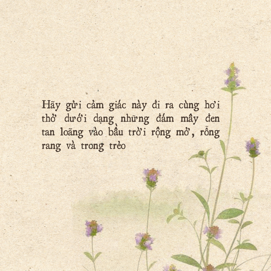 Sách - Thiền chữa lành thân và tâm