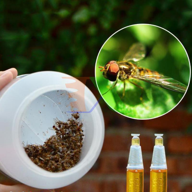 Combo 4 solution vial lure br-th, conductor example bee fly, vinegar, insect đục left