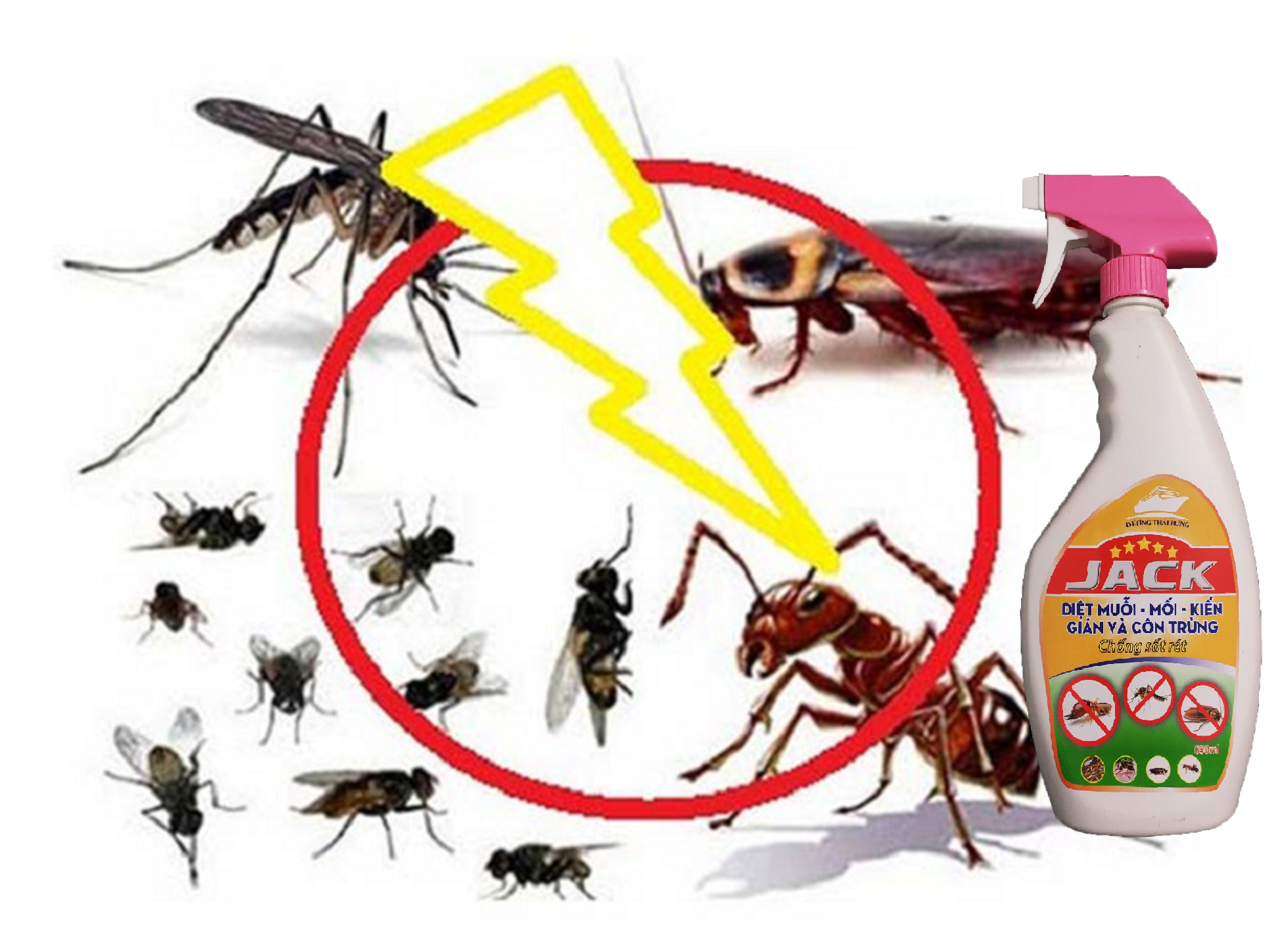 Diệt côn trùng JACK đa năng - Chai 650ml - Diệt mối, Diệt kiến, Diệt gián hiệu quả an toàn