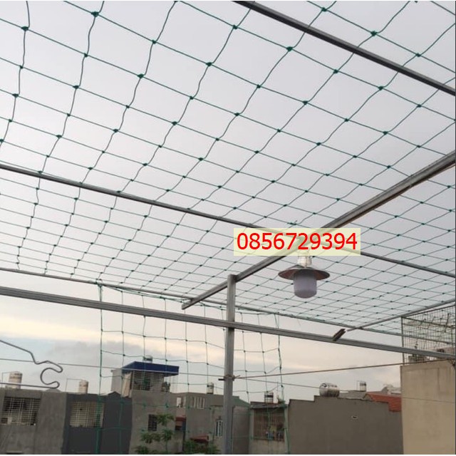 Lưới giàn leo, lưới trồng bầu bí