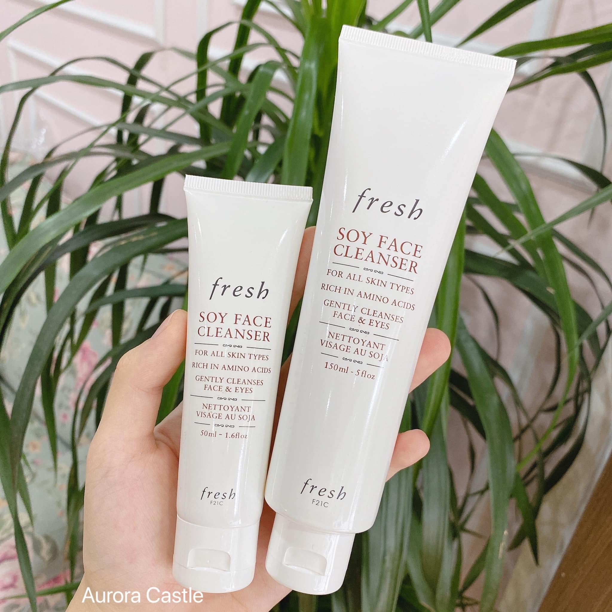 Sữa Rửa Mặt Fresh Soy Face Cleanser 150ML - SRM ĐẬU NÀNH