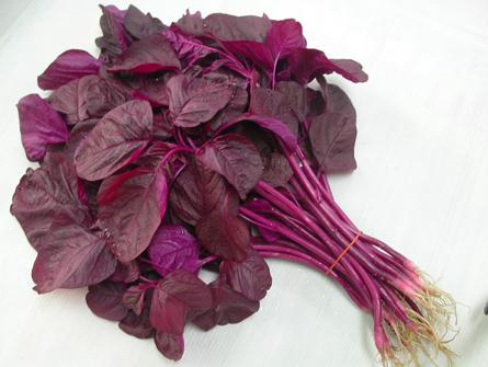 HẠT GIỐNG RAU DỀN ĐỎ 10g