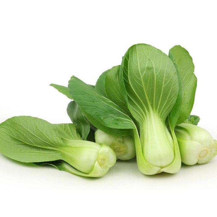 10 gram hạt giống rau cải chip