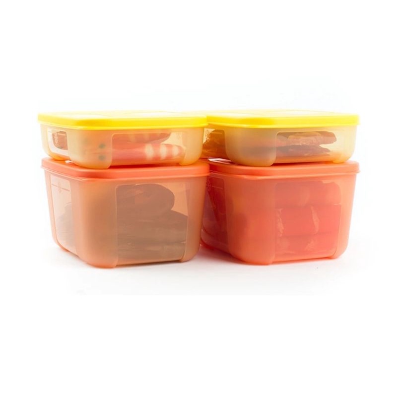Set 4 hộp trữ đông Tupperware️bộ ngăn đông Tup chính hãng