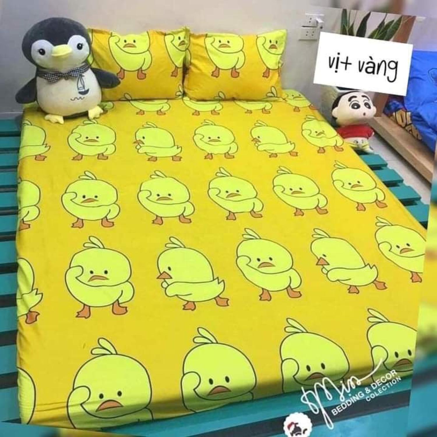 Ga trải giường cotton poly thu đông, ga nệm m2 m6 m8 được chọn mẫu