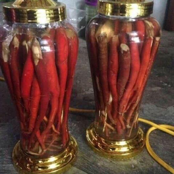 1kg sâm cau đỏ tươi