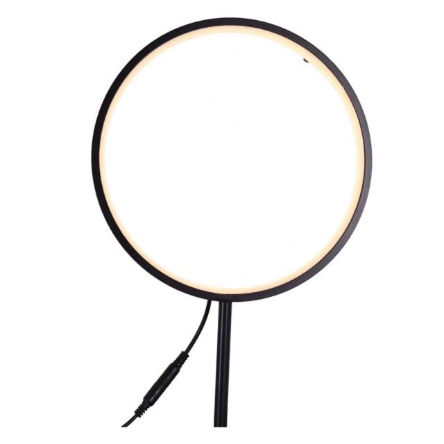 [HCM]Vòng đèn hào quang - bóng led 30cm