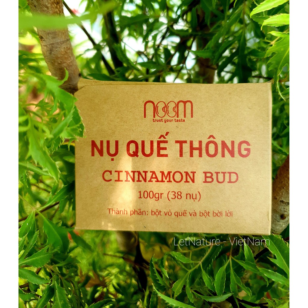 Nụ quế Noom