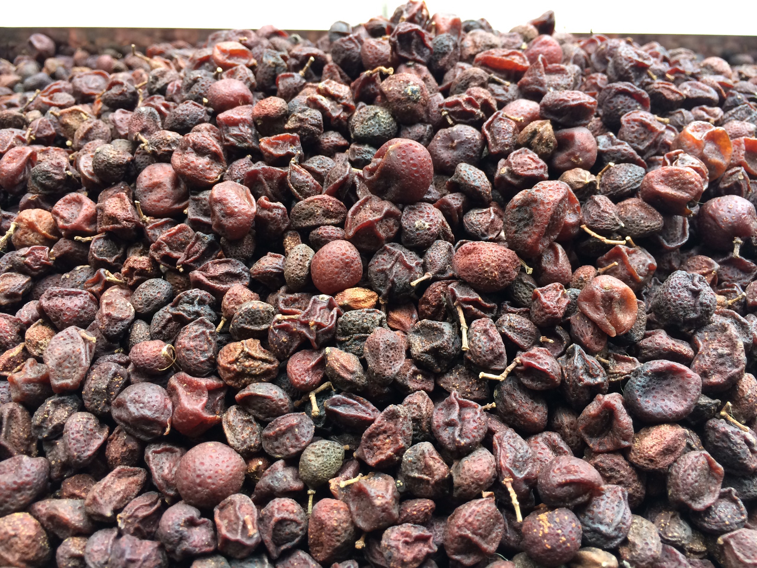 Quả mắc mật 1000g