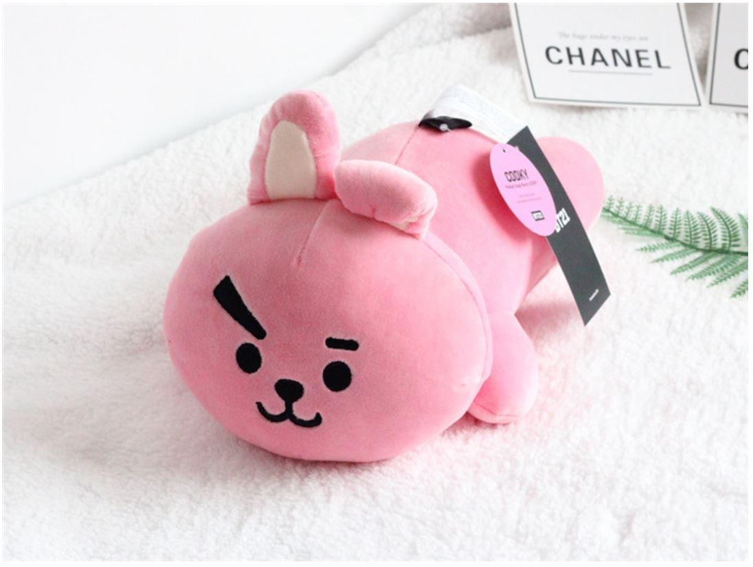 Gối ôm BT21 Mini Pillow mới