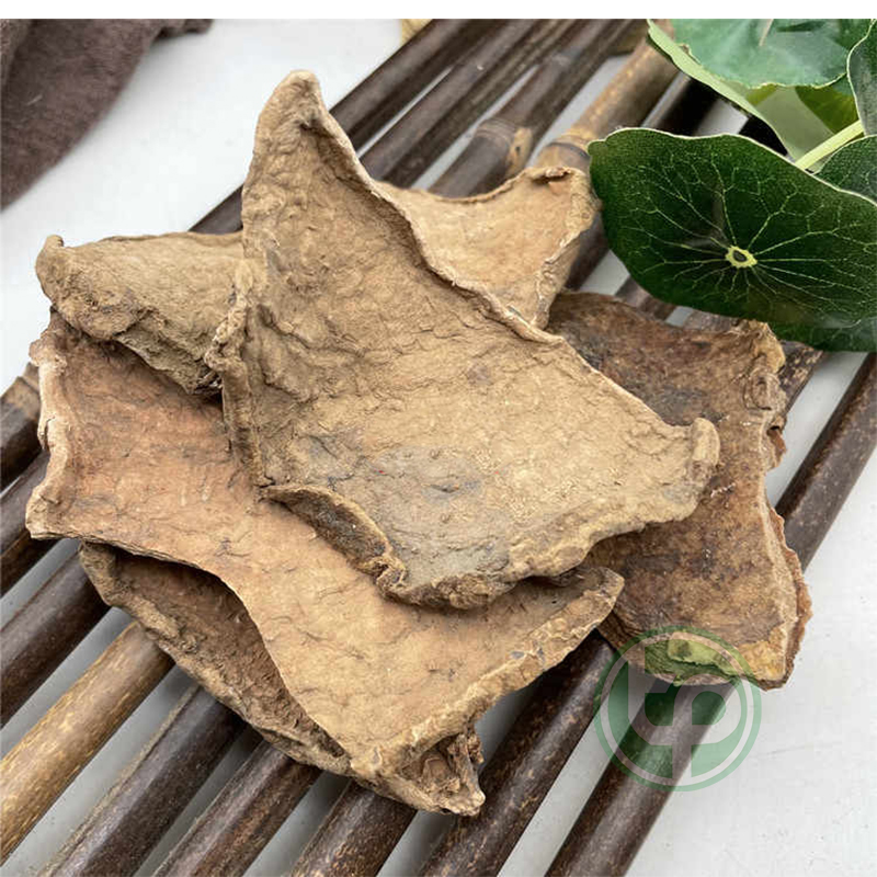 [Hàng mới về] Củ bình vôi sấy khô 1kg - Thảo Dược Tấn Phát - Chuyên dùng để pha trà và sắc nước uống