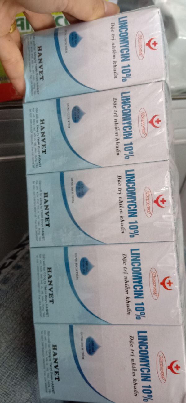 Lincomycin 100Ml Đặc T rị Nhiễm Khuẩn - 307
