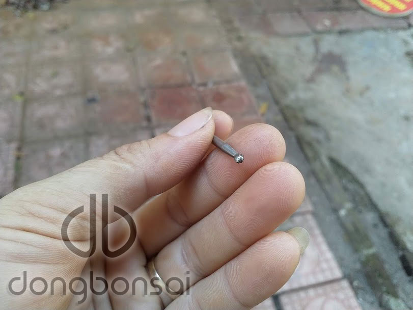 Mũi lũa cầu trục 3mm MLC3.3