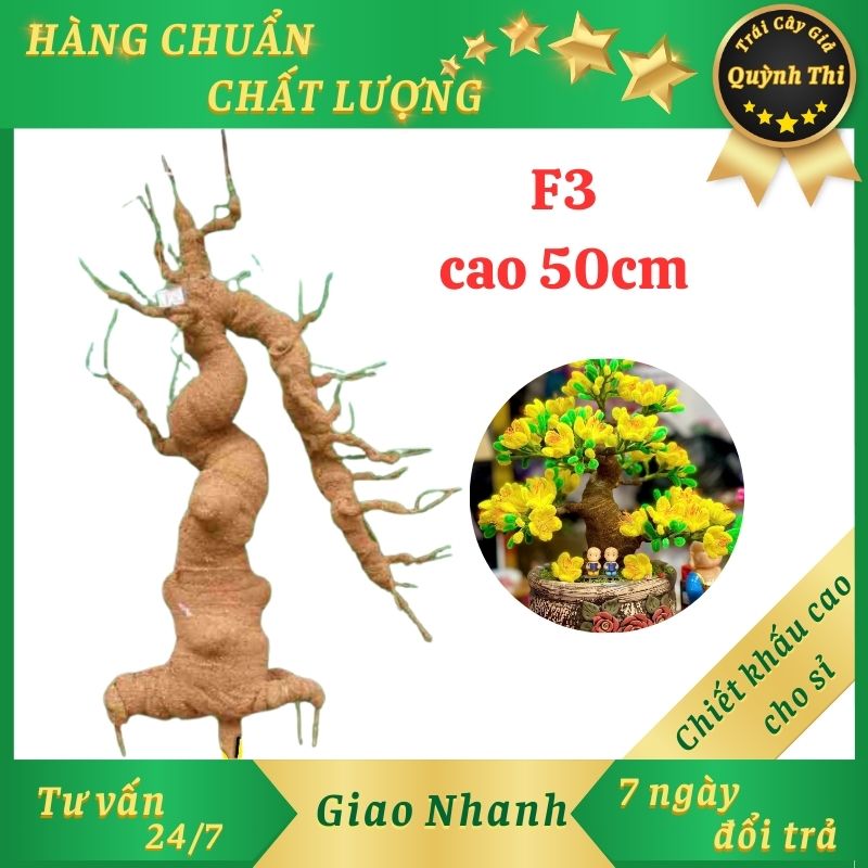 Gốc cây bonsai giả - loại f3 cao 50 cm