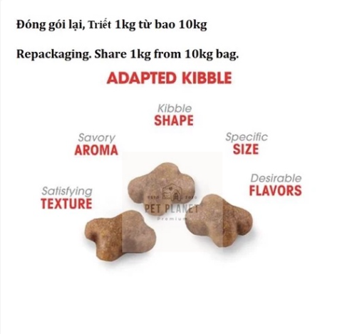 Hạt Royal Canin Kitten Cho Mèo Con 2kg