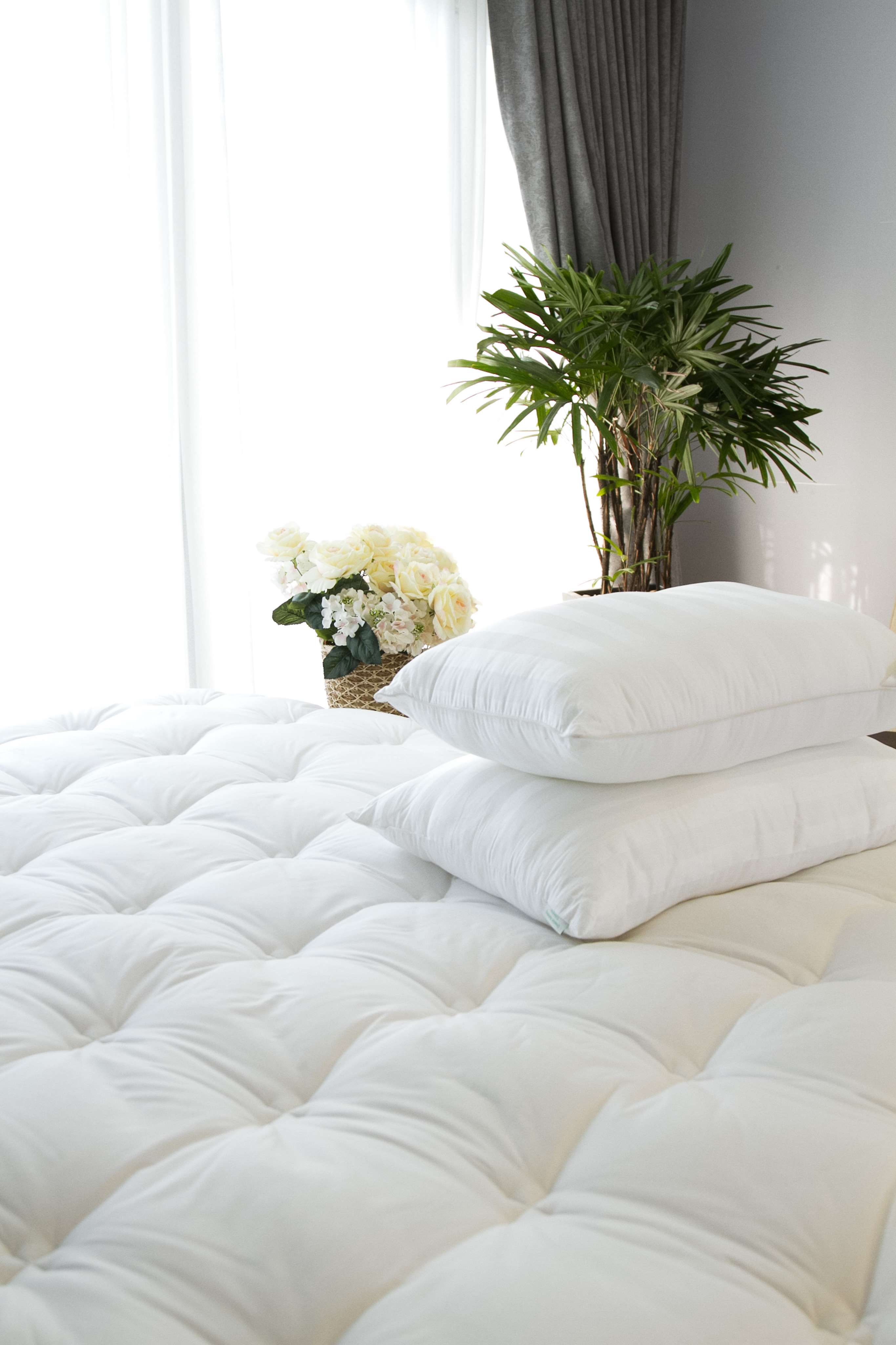 Topper nệm deluxe Edena
