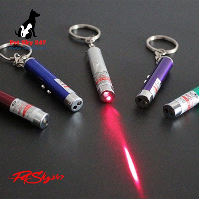 [HCM]Đồ Chơi Đèn Laser Led Cho Chó Mèo