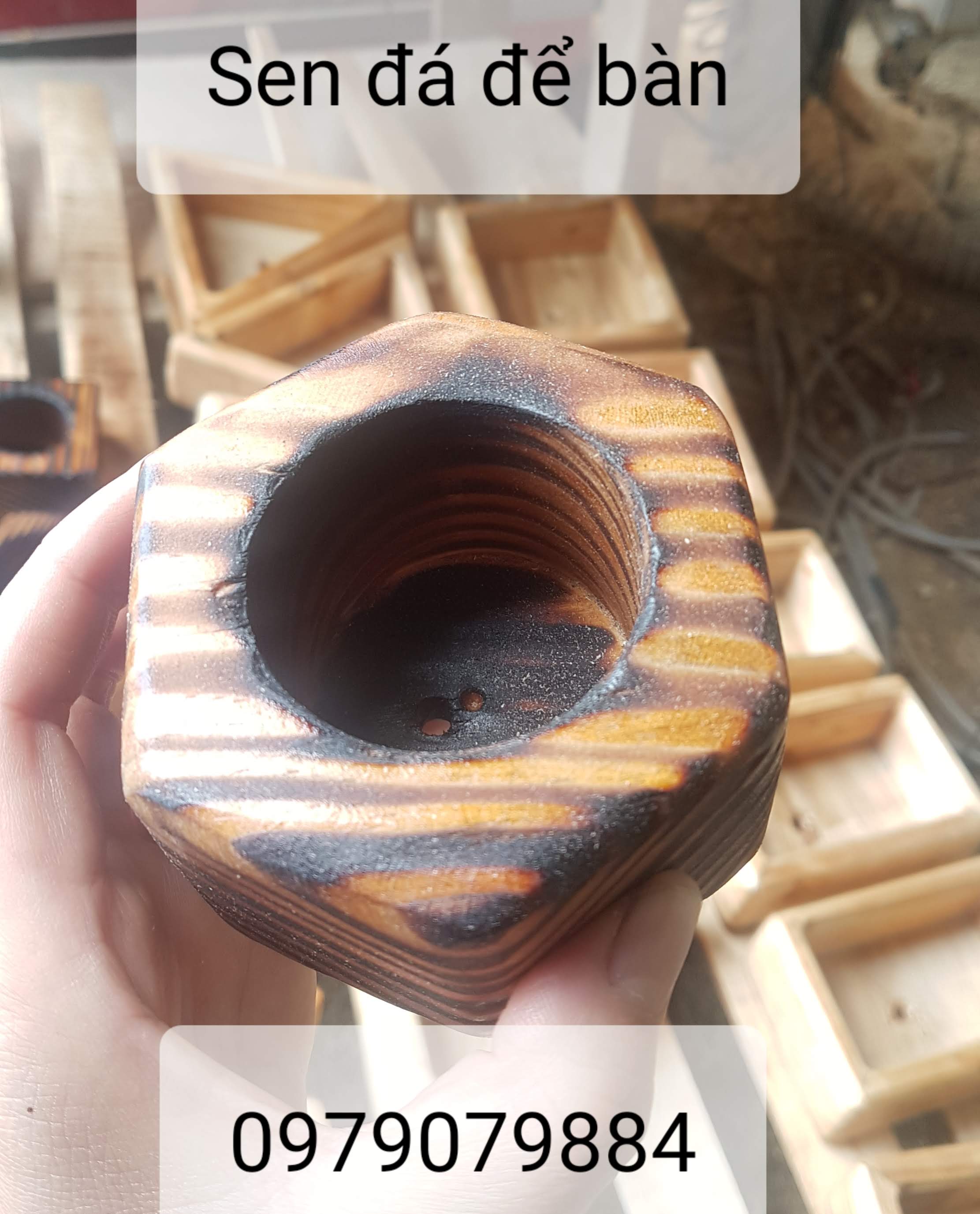 COMBO CHẬU GỖ NHỎ TRỒNG SEN ĐÁ - 59K