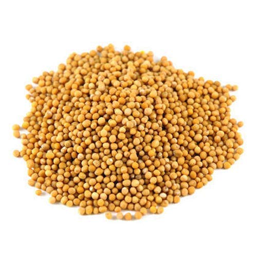 Yellow mustard seeds - Hạt mù tạt vàng (100g)