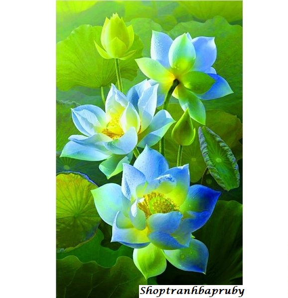 [HCM]Tranh đính đá Sắc sen kích thước nhỏ ✅75×50 cm -️ VS125