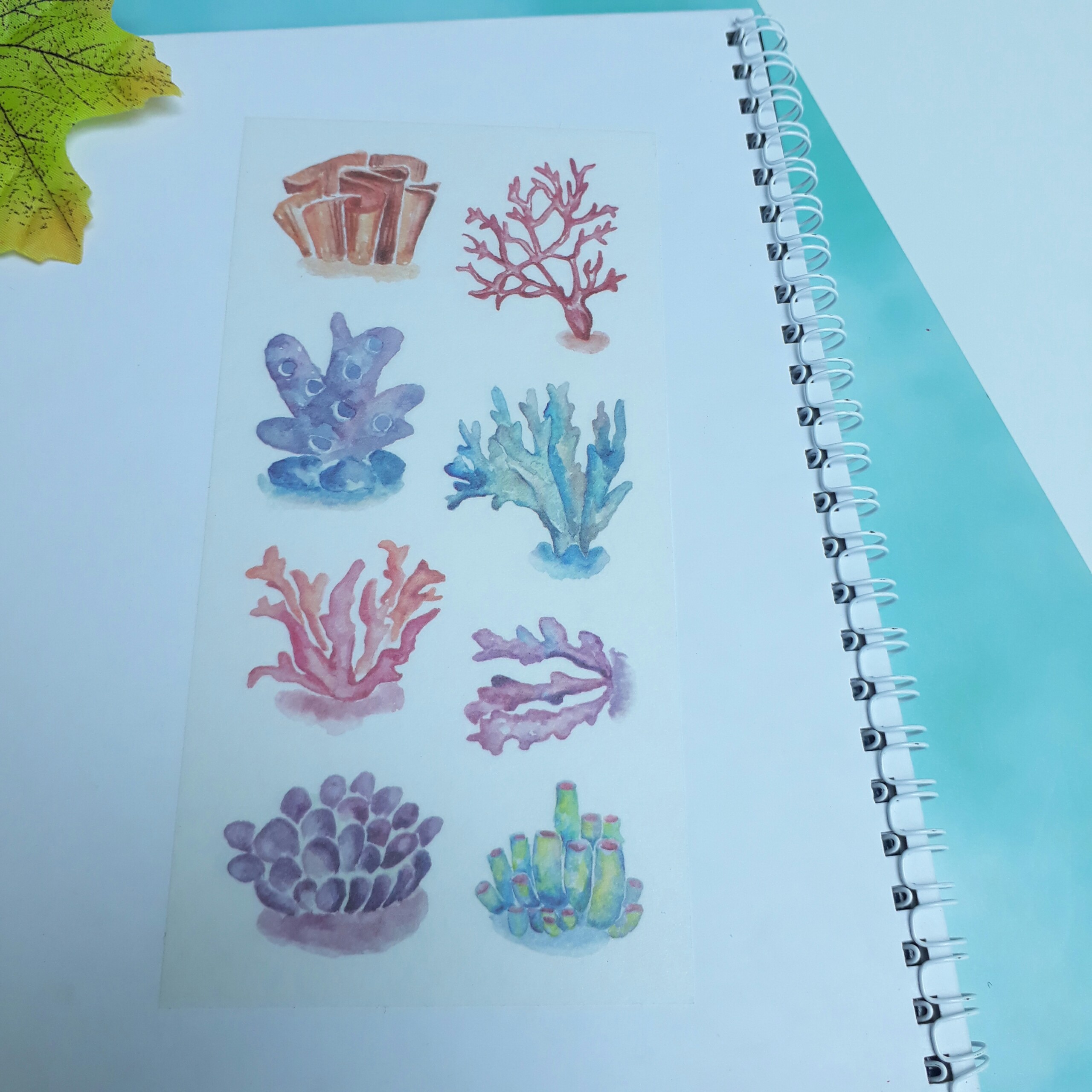 [HCM]Bộ 6 Tấm Sticker Sinh Vật Biển