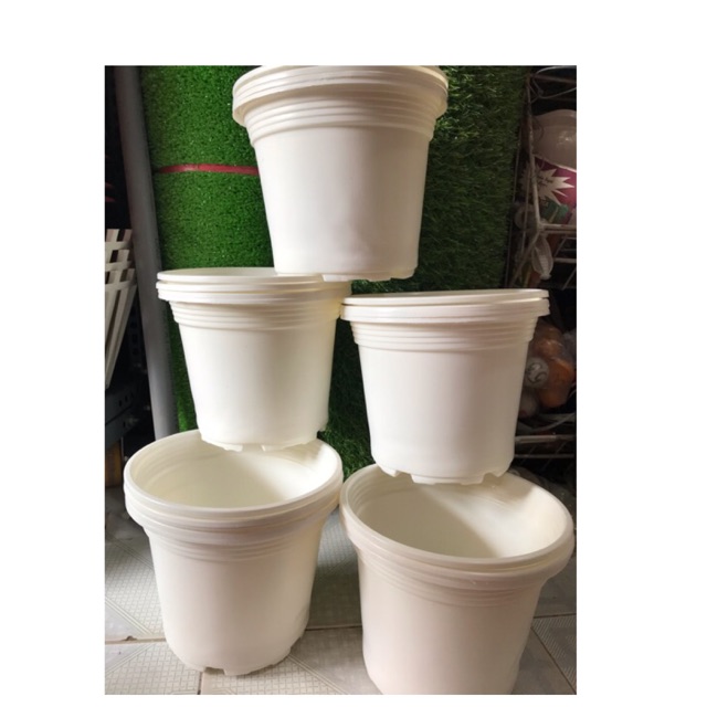 Combo 10 Chậu Nhựa Trồng Cây 19*16