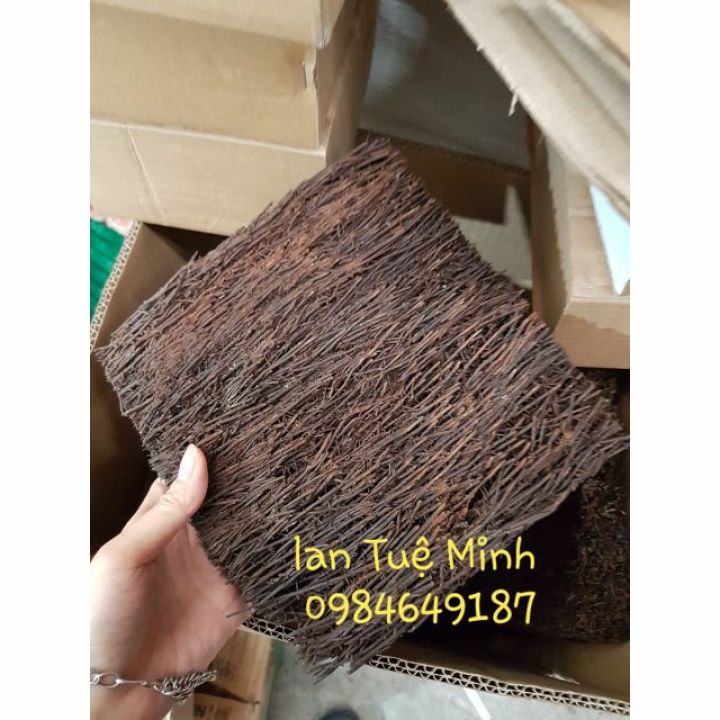 Bảng dớn trồng lan kích thước 20x20x3cm