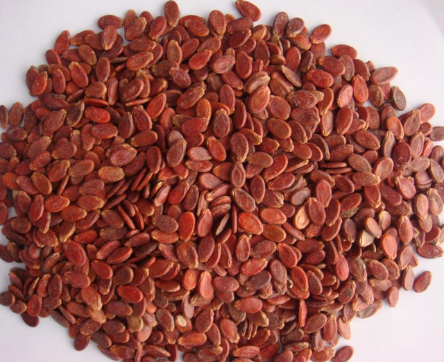 500G HẠT DƯA  KHÔNG PHẨM MÀU - doanvat_hangduong