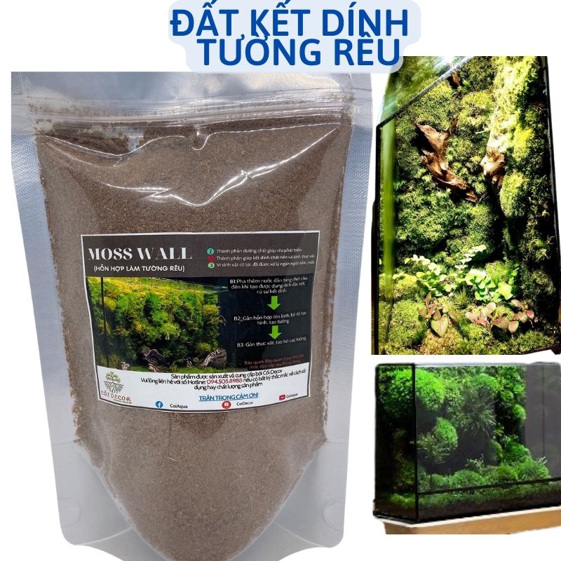 { Moss Wall } Đất kết dính, đất làm tường rêu setup bể terrarium, bán cạn