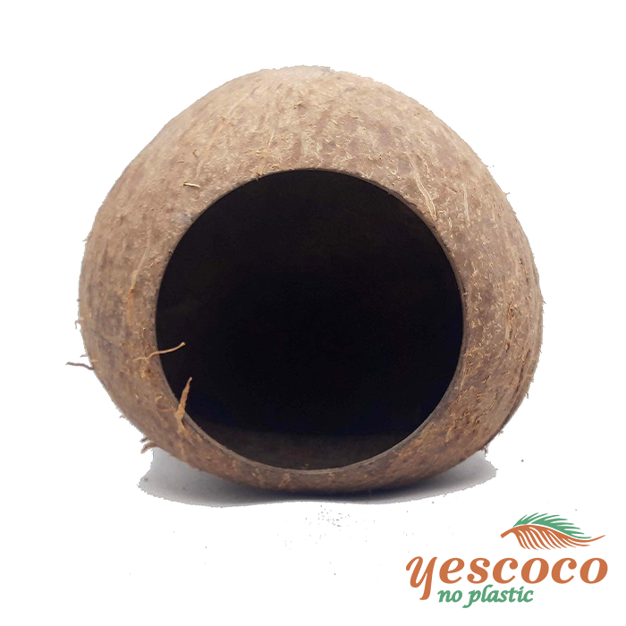Hang Hamster gáo dừa tròn Yescoco Xưởng SX